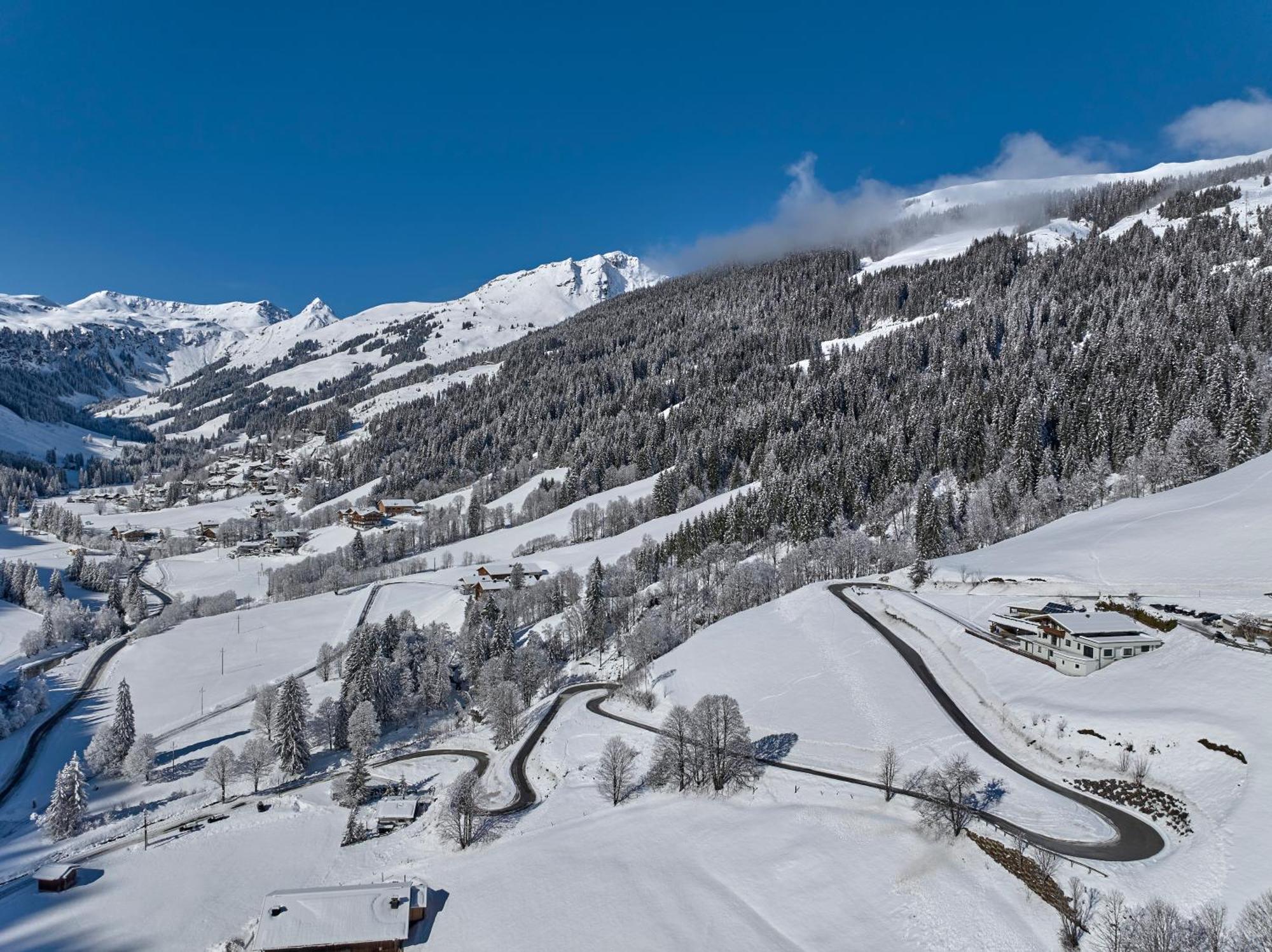 Boutique Appartements Saalbach-Hinterglemm Dış mekan fotoğraf